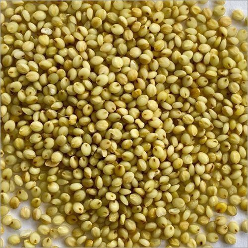 Browntop Millets