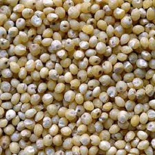 Dried Millets