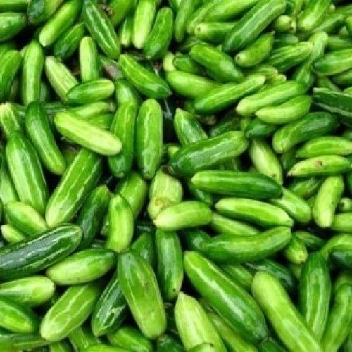 Fresh Ivy Gourd