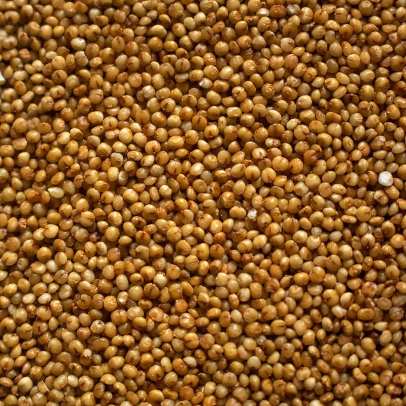 Kodo Millets
