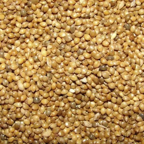 Organic Millets
