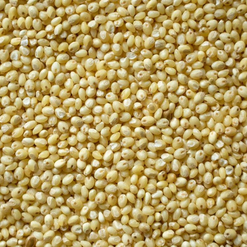Proso Millets