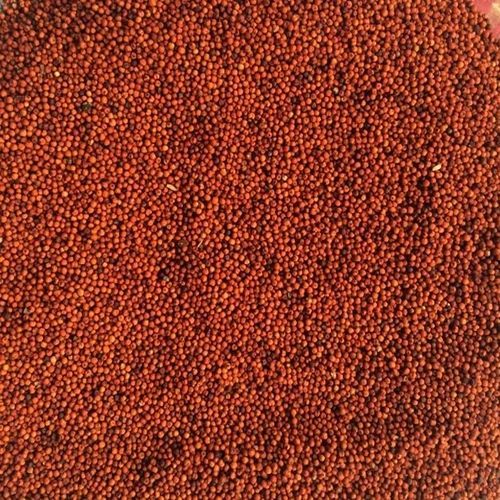 Red Millets