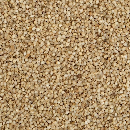 Samai Millets