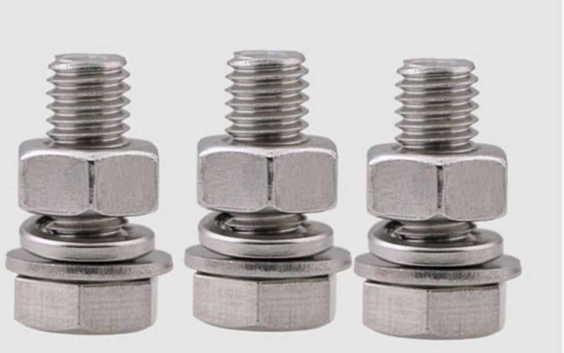 Stainless Steel Hex Screw Nuts Set