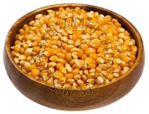 Yellow Maize Seeds