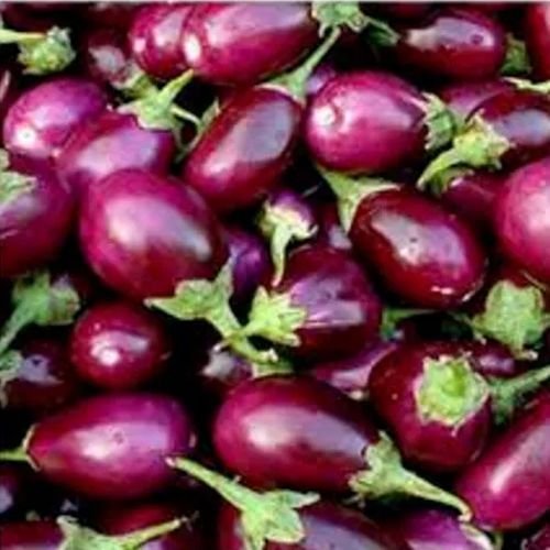 Frozen Brinjal