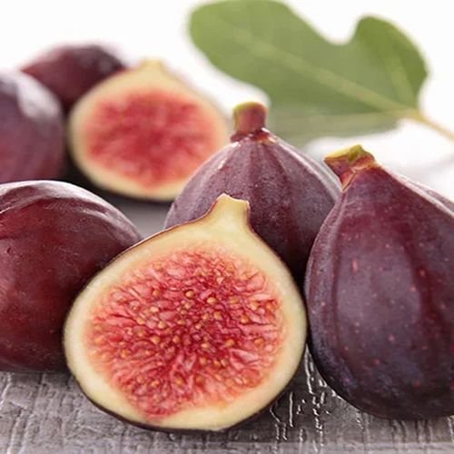 Frozen Fig