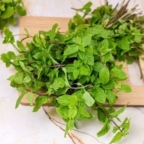Frozen Mint Leaves