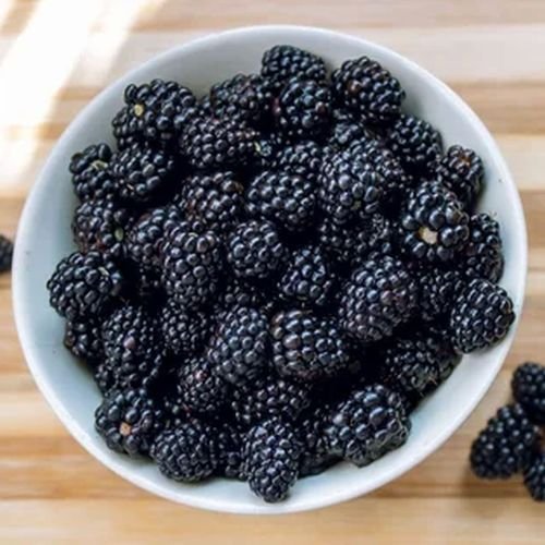 Frozen Mulberry