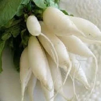 Frozen Radish