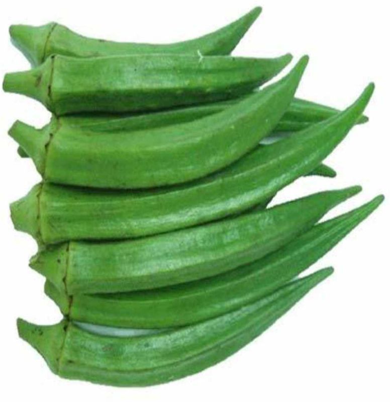 A Grade Fresh Okra