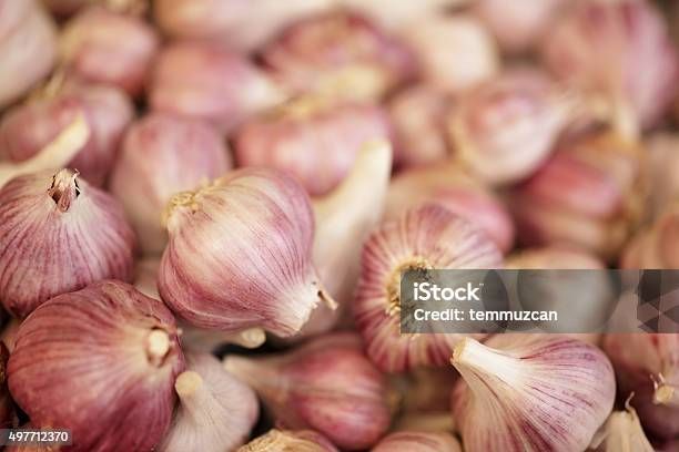 Garlic.
