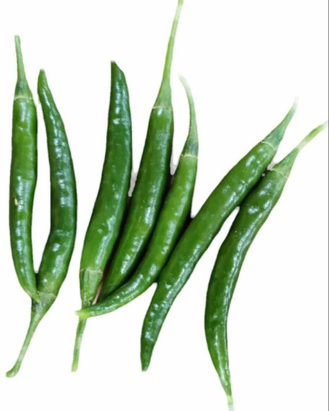 Raw Green Chilli