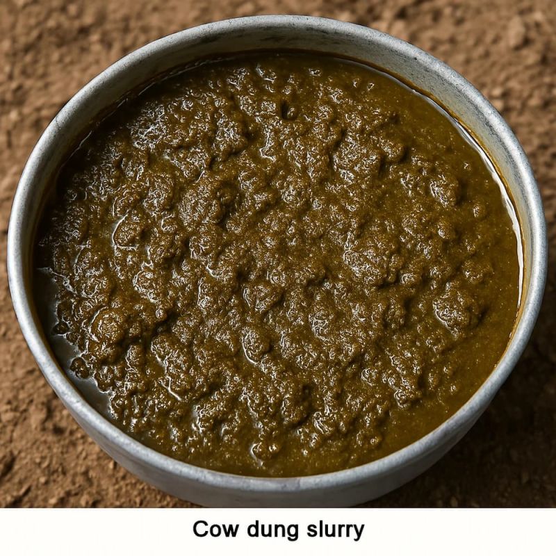 Cow Dung Slurry