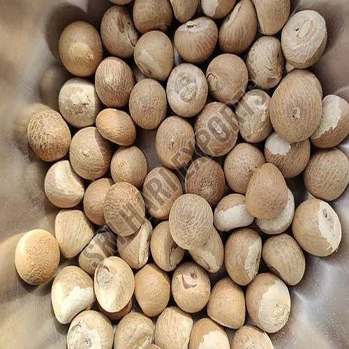 Areca Nuts