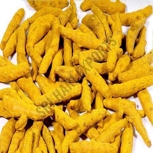 A Grade Dry Turmeric Finger