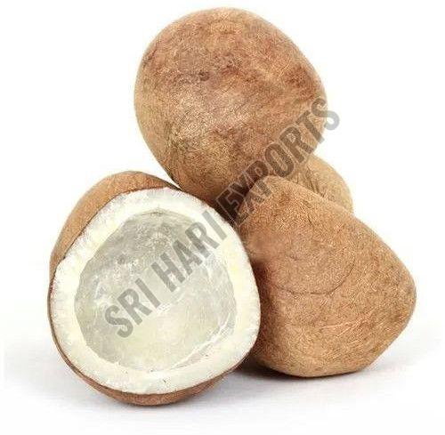 Indian Coconut