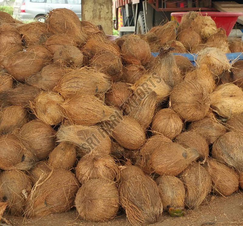 Fully Husked Coconut