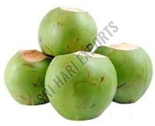 Green Tender Coconut