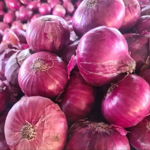 Fresh Red Onion