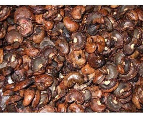 Natural Cashew Nut Shell