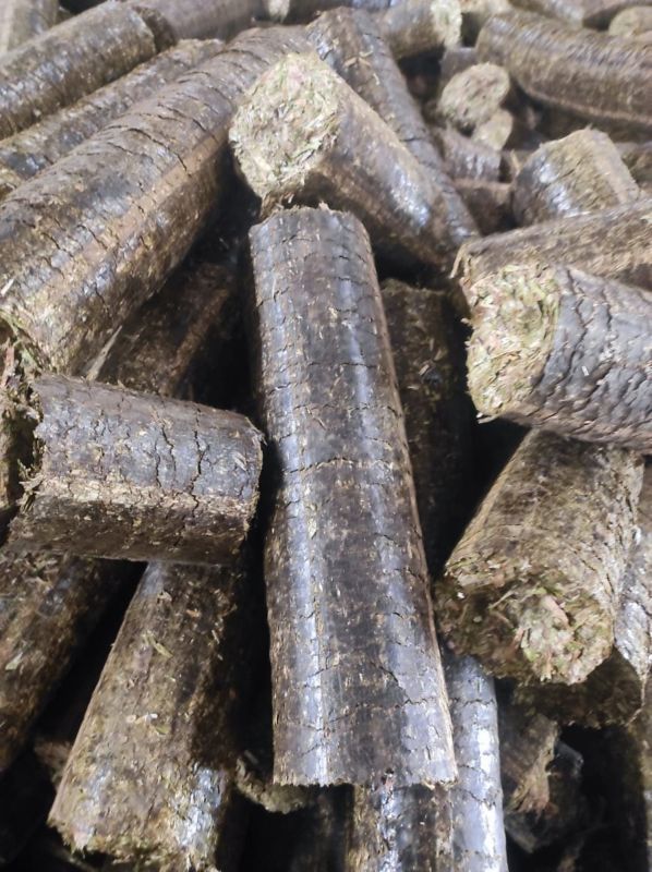 Organic Biocoal Briquettes