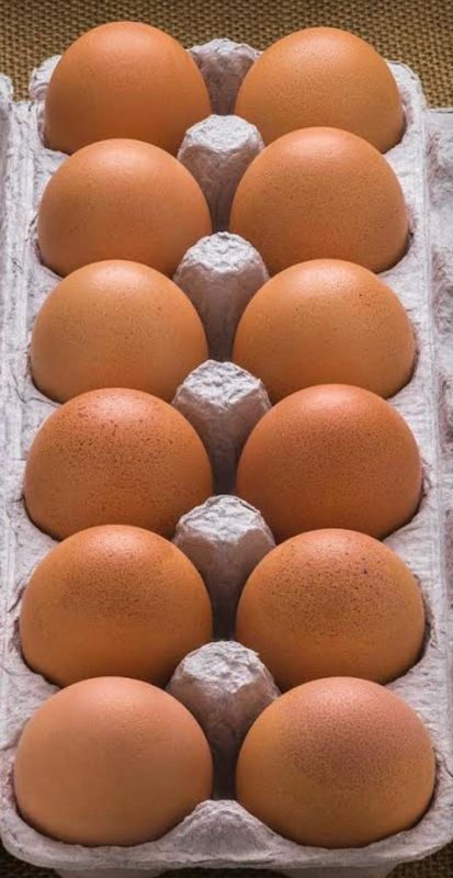 Poultry Eggs