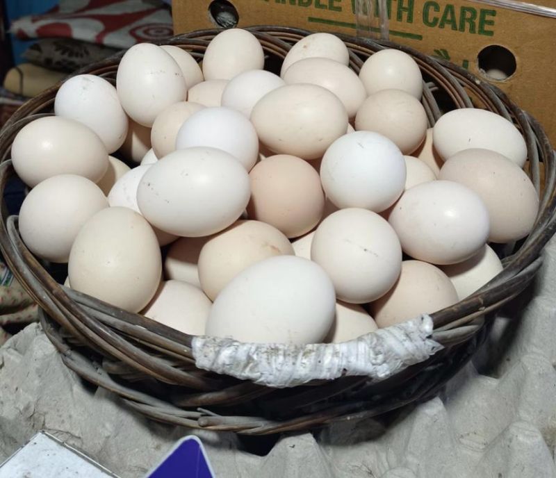 White Gavran Eggs