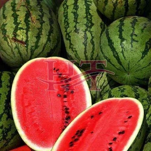 Fresh Watermelon