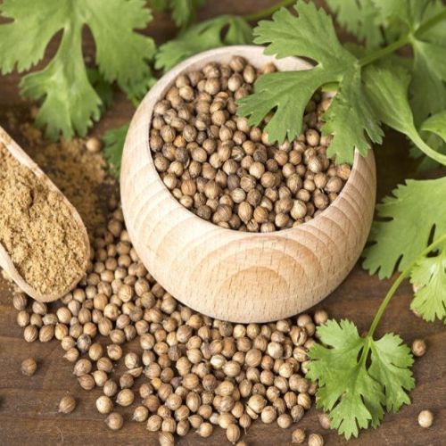 Coriander Seeds
