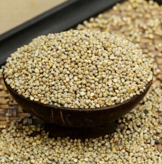 Hybrid Pearl Millet
