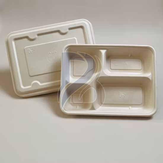 4 Compartment Eco Bagasse Plate
