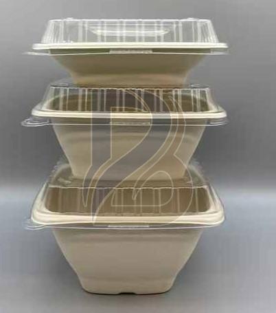 Bagasse Containers