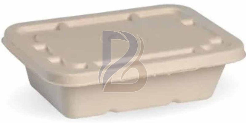 Eco Rectangular Bagasse Container