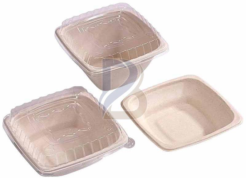 PET Lid Square Bagasse Bowl