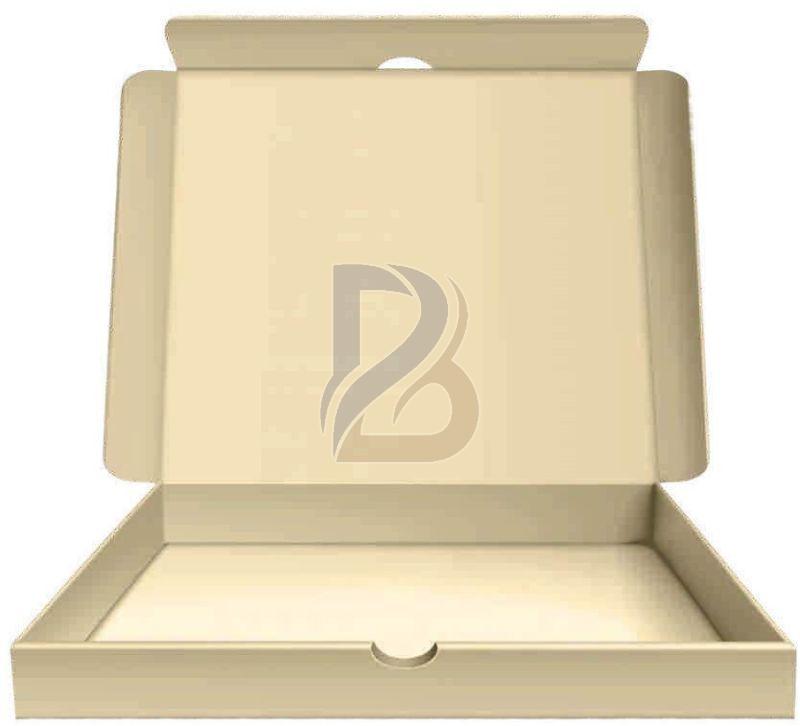 Plain Brown Corrugated Pizza Box