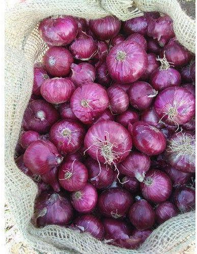 A Grade Red Onion