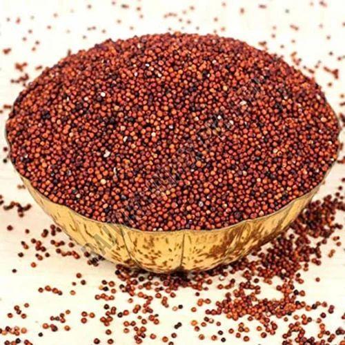 Finger Millet