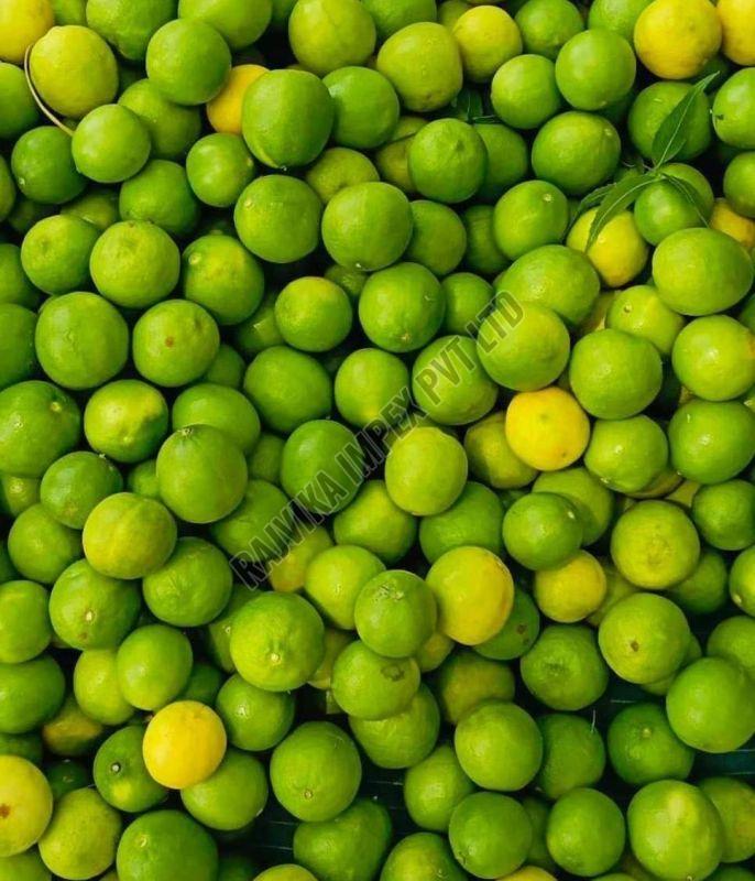 Fresh Lemon
