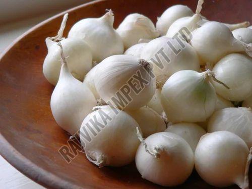 Fresh White Onion