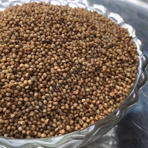 Kodo Millet