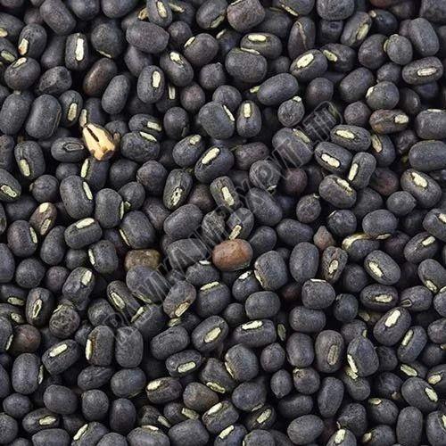 Sabut Urad Dal