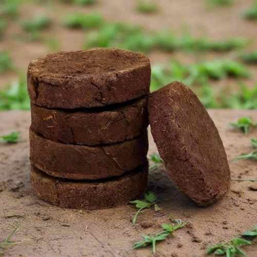 Cow Dung Cake