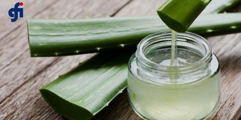 Aloe Vera Processing Machine
