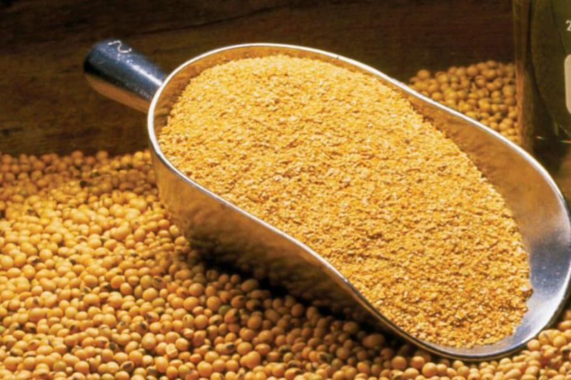 Bansal Full Fat Soya Grits