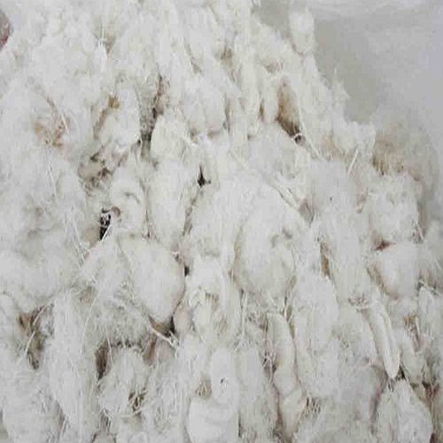 White Cotton Waste