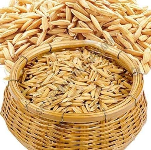 Raw Paddy Rice