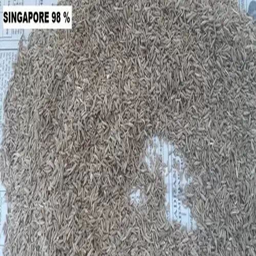Cumin Seed Jeera