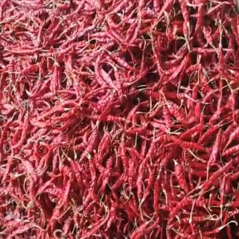 Dried Red Chilli